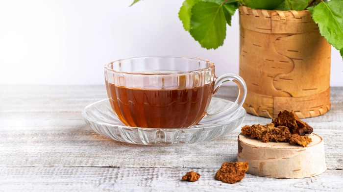 Как правильно приготовить чай из чаги: простые рецепты и полезные свойства