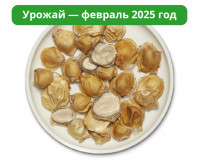 Гриб Веселка Сушеный Крупнорезаный