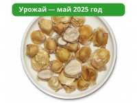 Гриб Веселка Сушеный Крупнорезаный
