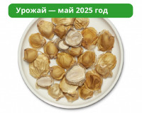 Гриб Веселка Сушеный Крупнорезаный