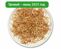 Гриб Кордицепс сушеный