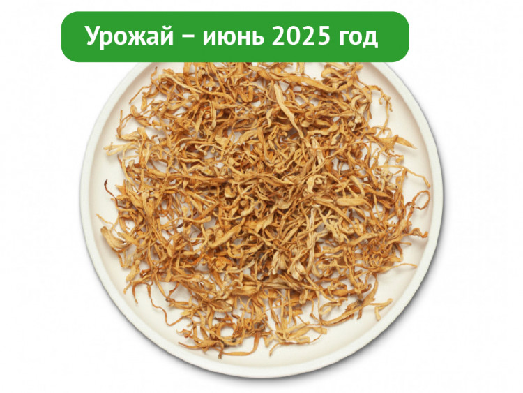 Гриб Кордицепс сушеный