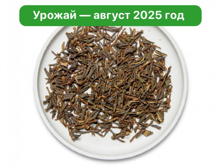 Чай Саган-дайля (Багульник душистый) Чай Саган-дайля (Багульник душистый)