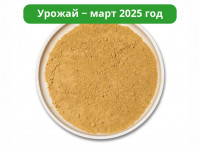 Ежовик гребенчатый молотый
