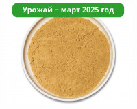 Ежовик гребенчатый молотый