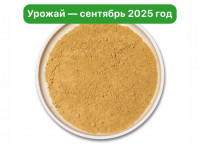 Ежовик гребенчатый молотый