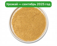 Ежовик гребенчатый молотый