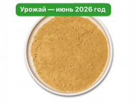 Ежовик гребенчатый молотый