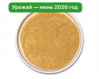 Ежовик гребенчатый молотый