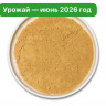 Ежовик гребенчатый молотый
