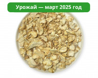 Ежовик гребенчатый. Чипсы.