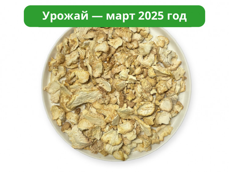 Ежовик гребенчатый. Чипсы.