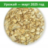 Ежовик гребенчатый. Чипсы