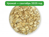 Ежовик гребенчатый. Чипсы