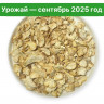 Ежовик гребенчатый. Чипсы