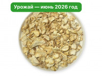 Ежовик гребенчатый. Чипсы