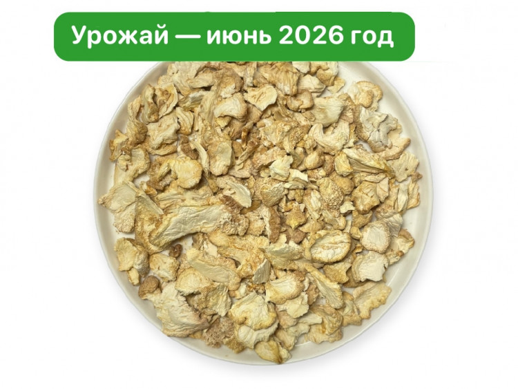 Ежовик гребенчатый. Чипсы