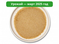 Мицелий ежовика гребенчатого. Порошок