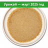 Мицелий ежовика гребенчатого. Порошок