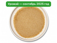 Мицелий ежовика гребенчатого. Порошок