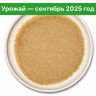 Мицелий ежовика гребенчатого. Порошок