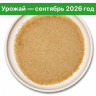 Мицелий ежовика гребенчатого. Порошок