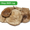 Шляпки черного гриба
