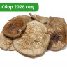 Шляпки черного гриба