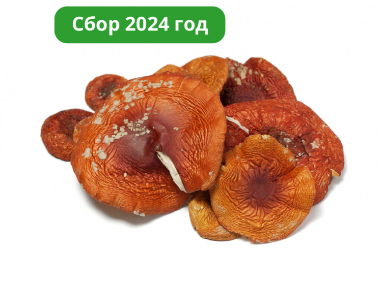 Шляпки красного гриба 