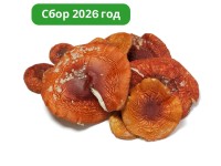 Шляпки красного гриба 