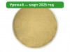 Микс Мицелий Ежовика и Кордицепса