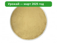 Микс Мицелий Ежовика и Кордицепса