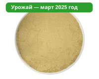 Микс Мицелий Ежовика и Кордицепса