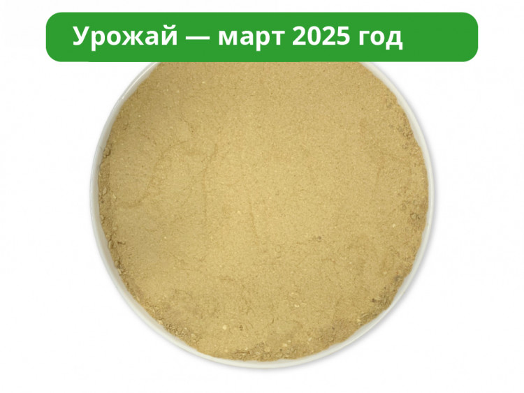 Микс Мицелий Ежовика и Кордицепса