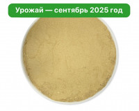 Микс Мицелий Ежовика и Кордицепса