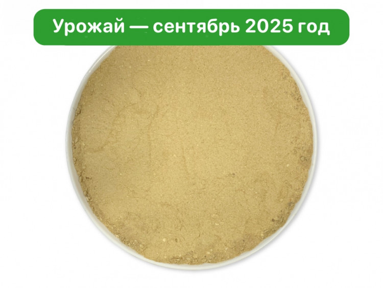 Микс Мицелий Ежовика и Кордицепса