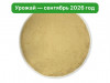 Микс Мицелий Ежовика и Кордицепса