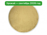 Микс Мицелий Ежовика и Кордицепса