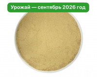 Микс Мицелий Ежовика и Кордицепса