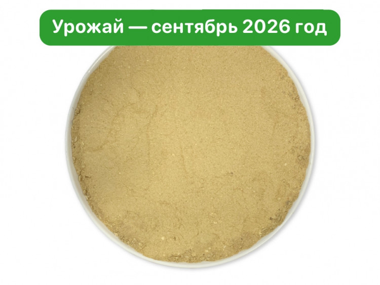 Микс Мицелий Ежовика и Кордицепса
