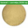 Микс Мицелий Ежовика и Кордицепса