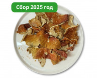 Красный гриб ломаный