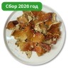 Красный гриб ломаный