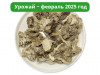 Гриб Майтаке (Мейтаке)