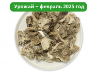Гриб Майтаке (Мейтаке) 