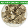 Гриб Майтаке (Мейтаке) 