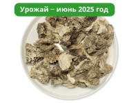 Гриб Майтаке (Мейтаке) 