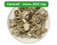 Гриб Майтаке (Мейтаке) 