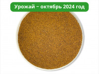 Чага дробленая