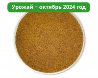 Чага дробленая